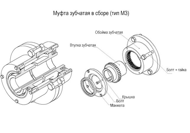 Полумуфта зубчатая чертеж